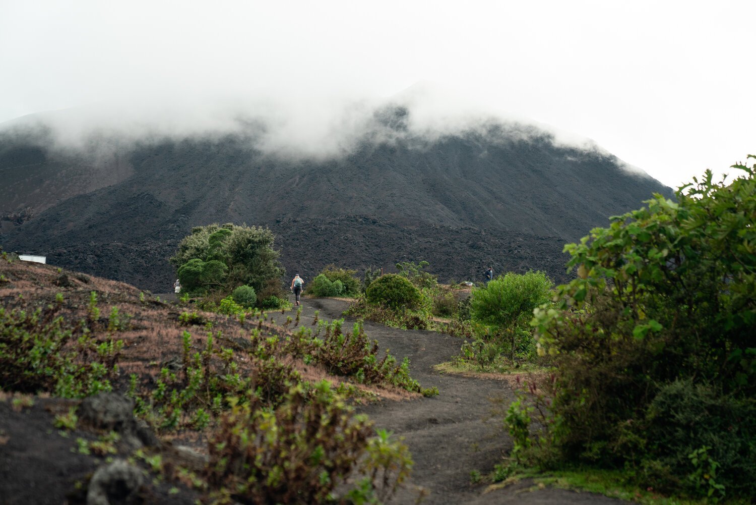 Sentier de randonnée menant à un volcan partiellement couvert de nuages, entouré de végétation verdoyante.