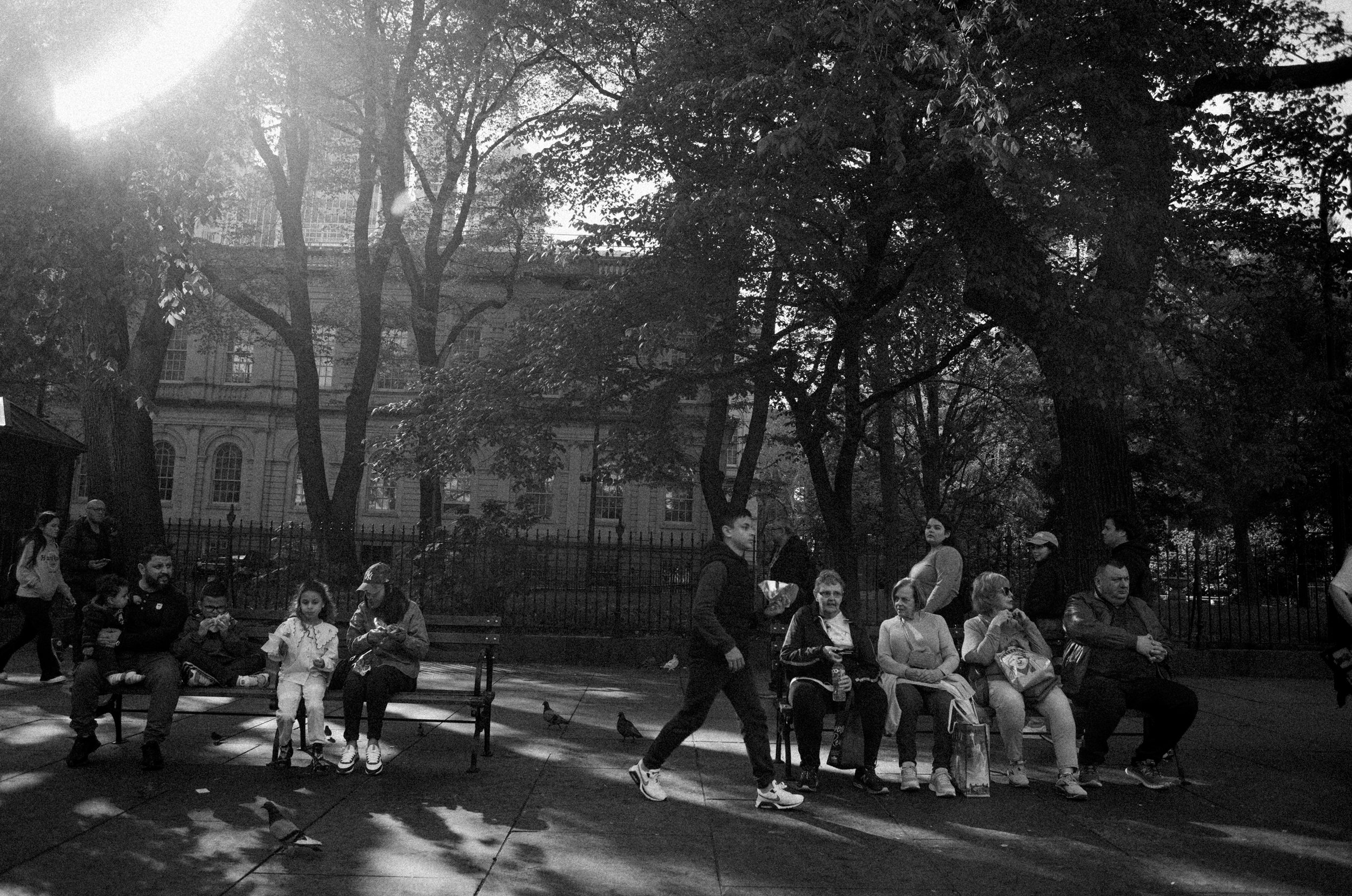 David-Olivier Gascon - Blog photo + Fictions — photo 6, David-Olivier Gascon